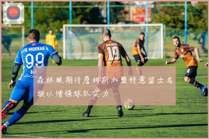 森林狼期待詹姆斯加盟特意留出名额以增强球队实力